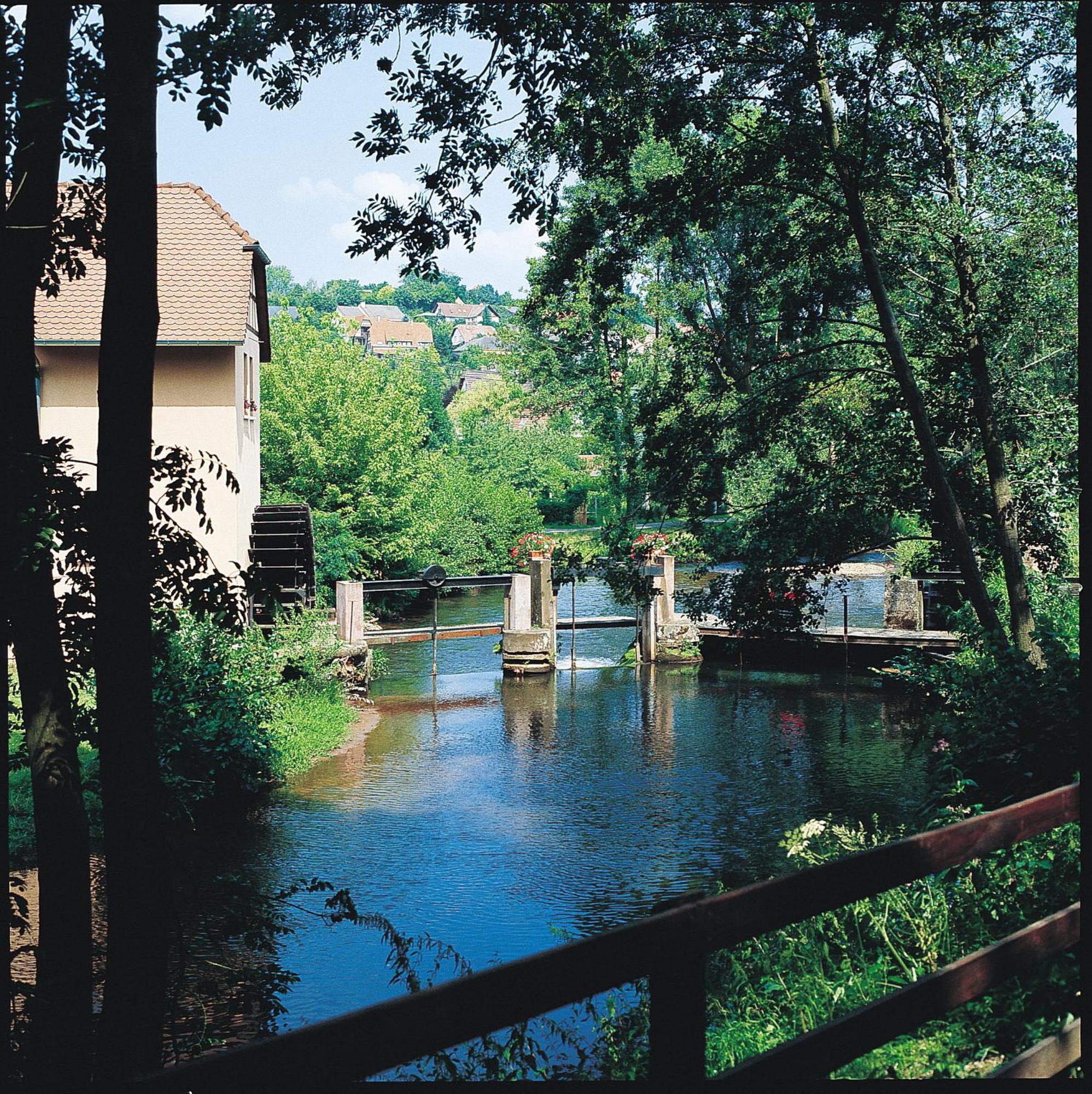 Le Moulin De La Walk Wissembourg Exterior foto