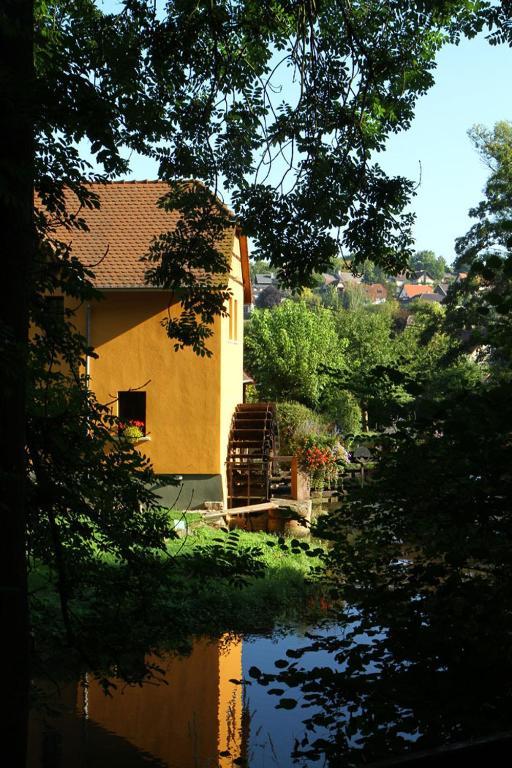 Le Moulin De La Walk Wissembourg Exterior foto