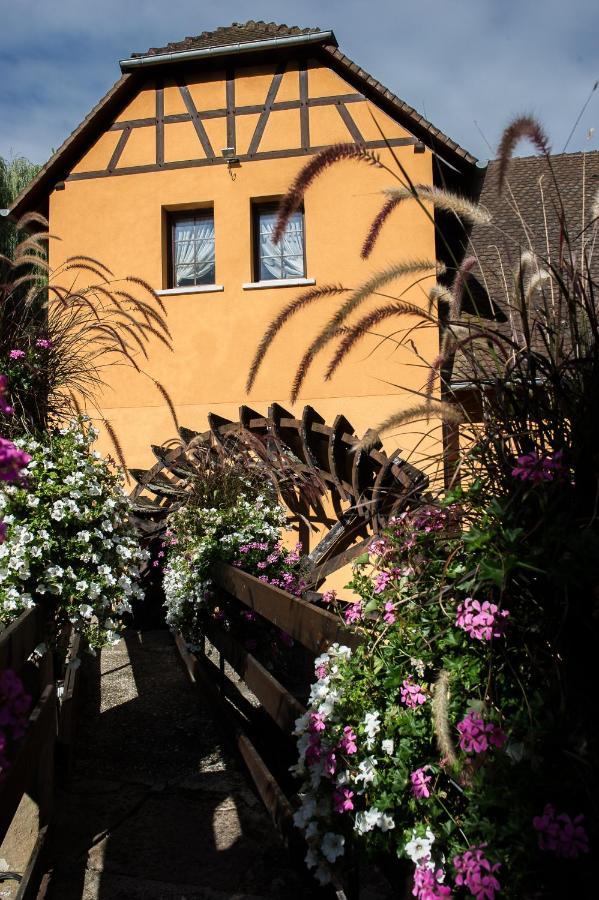 Le Moulin De La Walk Wissembourg Exterior foto