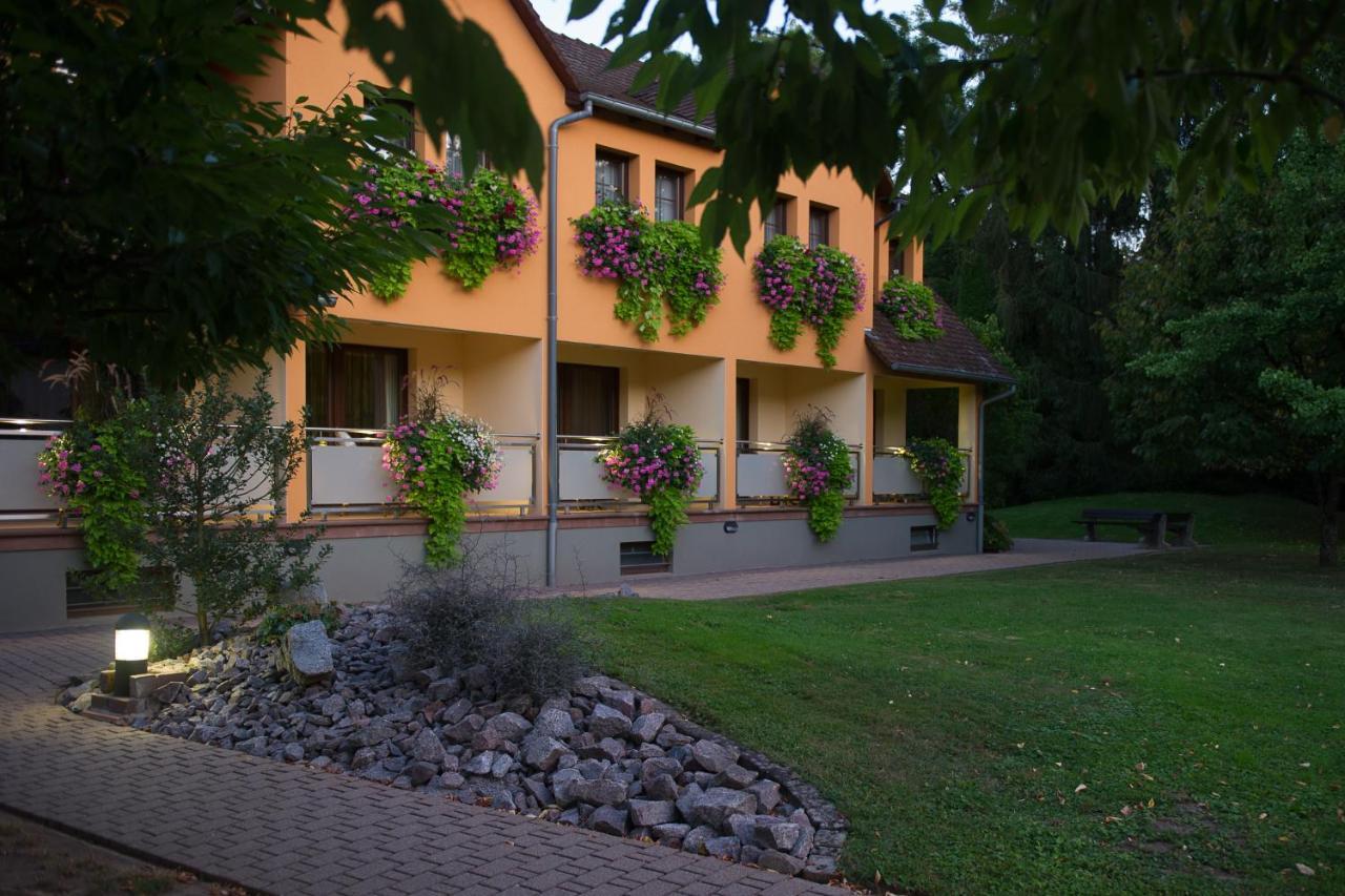 Le Moulin De La Walk Wissembourg Exterior foto
